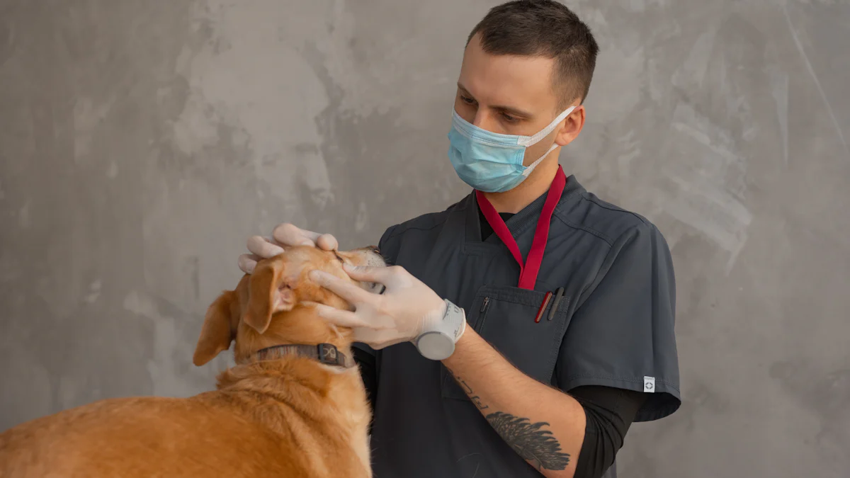 Why Premium Veterinary Scrubs Matter for Professionals