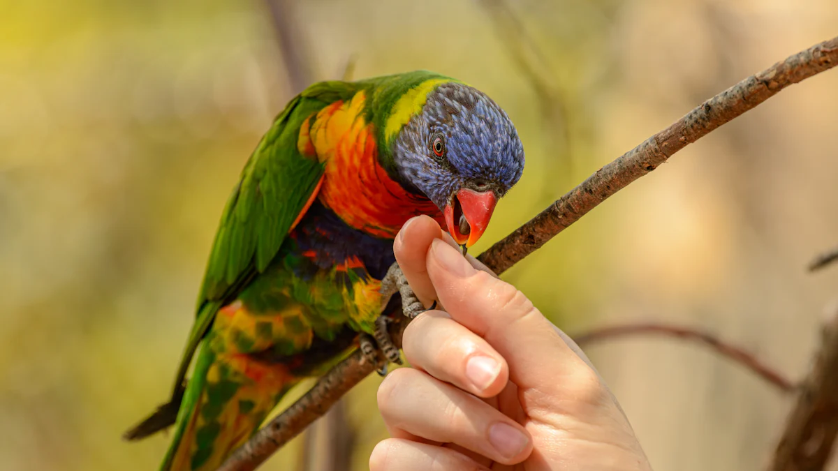 How to Serve Dried Mealworms to Parakeets