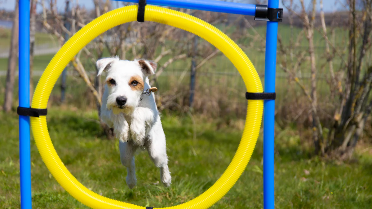 Commercial Dog Park Equipment