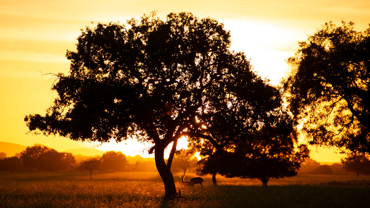 Explora las mejores clases de yoga al aire libre en Cambrils