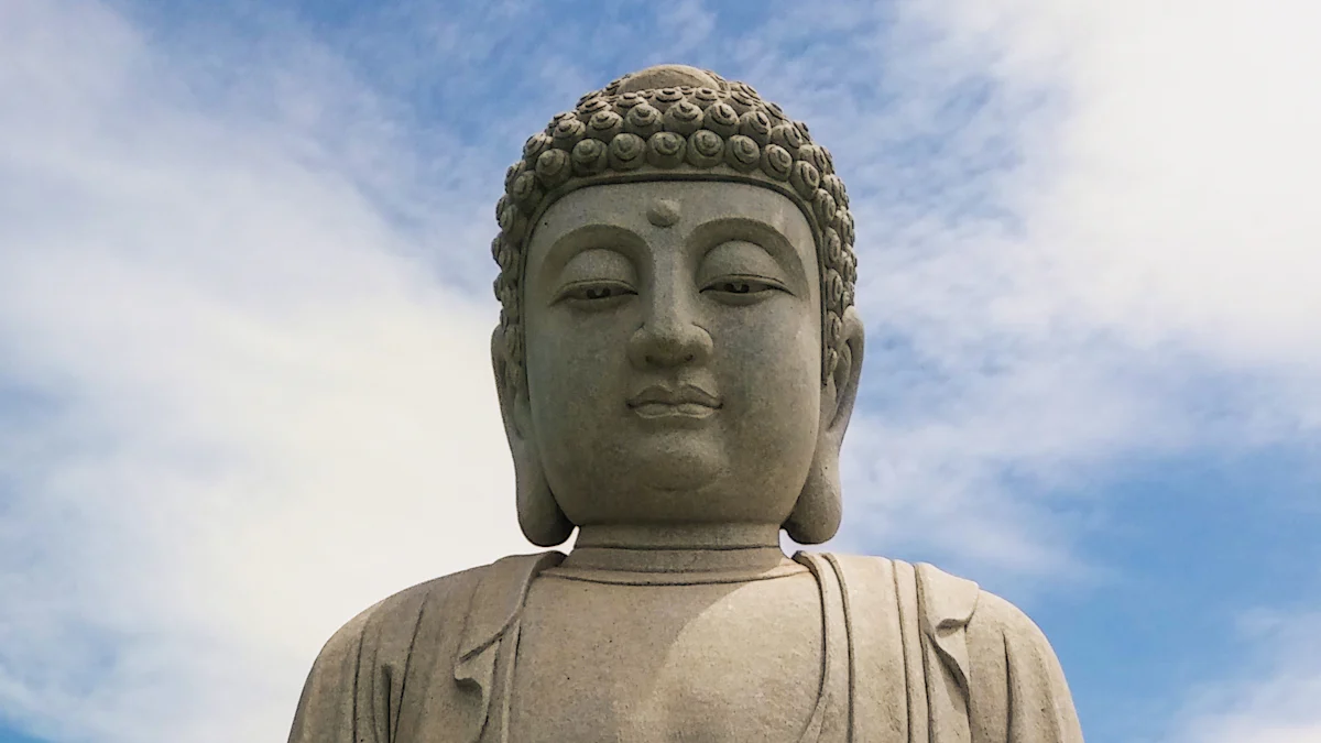 The Principle of Mindfulness in Knoff Yoga