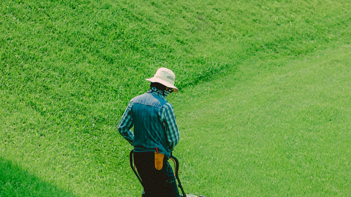 Common Lawn Care Challenges