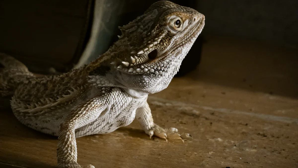 Understanding Bearded Dragon Dried Mealworms