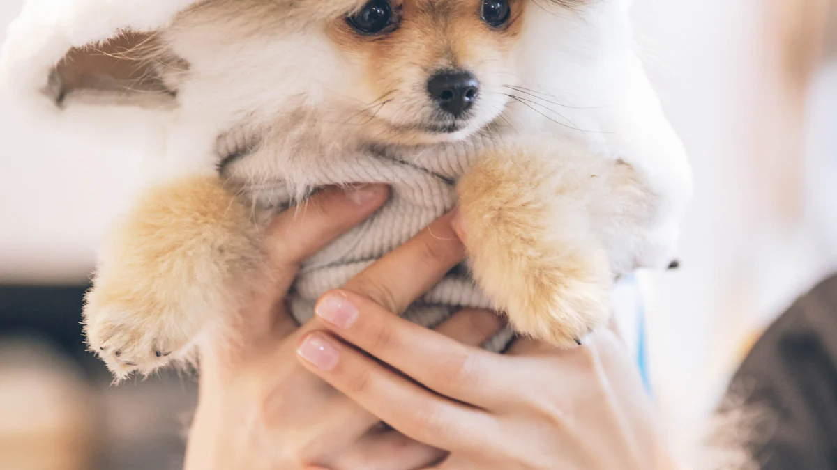 10 Must-Have Dog Mom Gifts for 2024