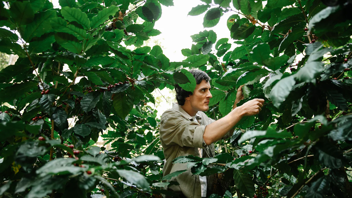 Key Principles of Ethical Production