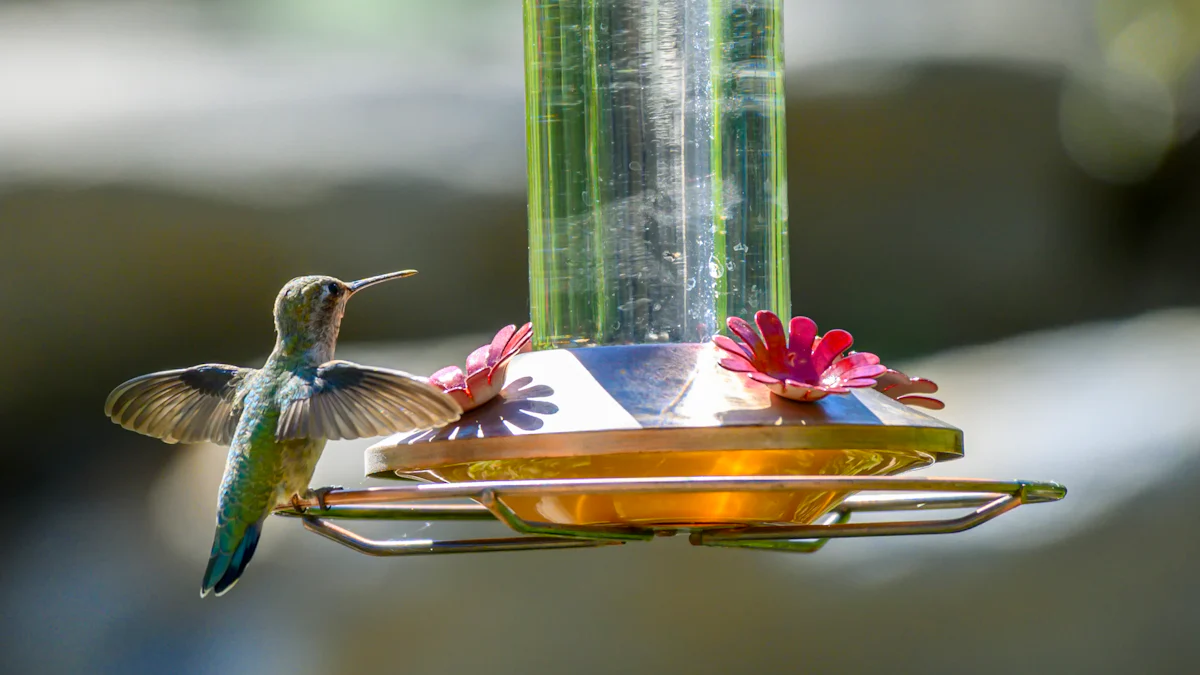 What Makes Meal Worms Bird Food So Nutritious?