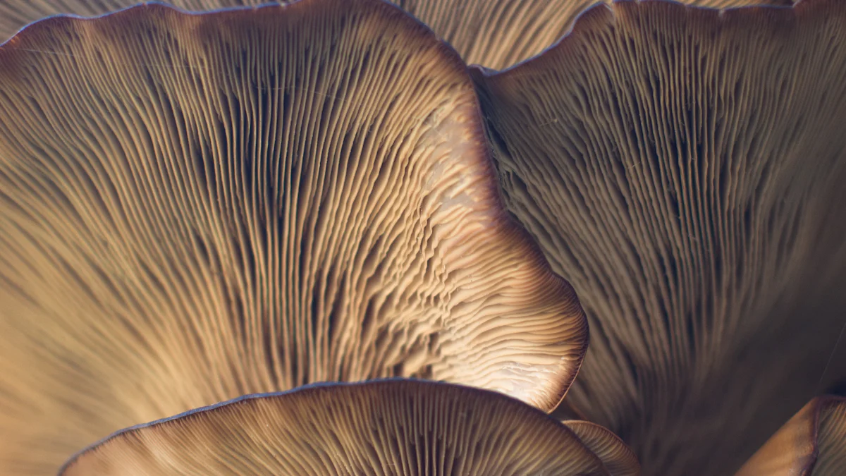 Why Biodegradable Mushroom Trays Are Key to Sustainable Living in 2025