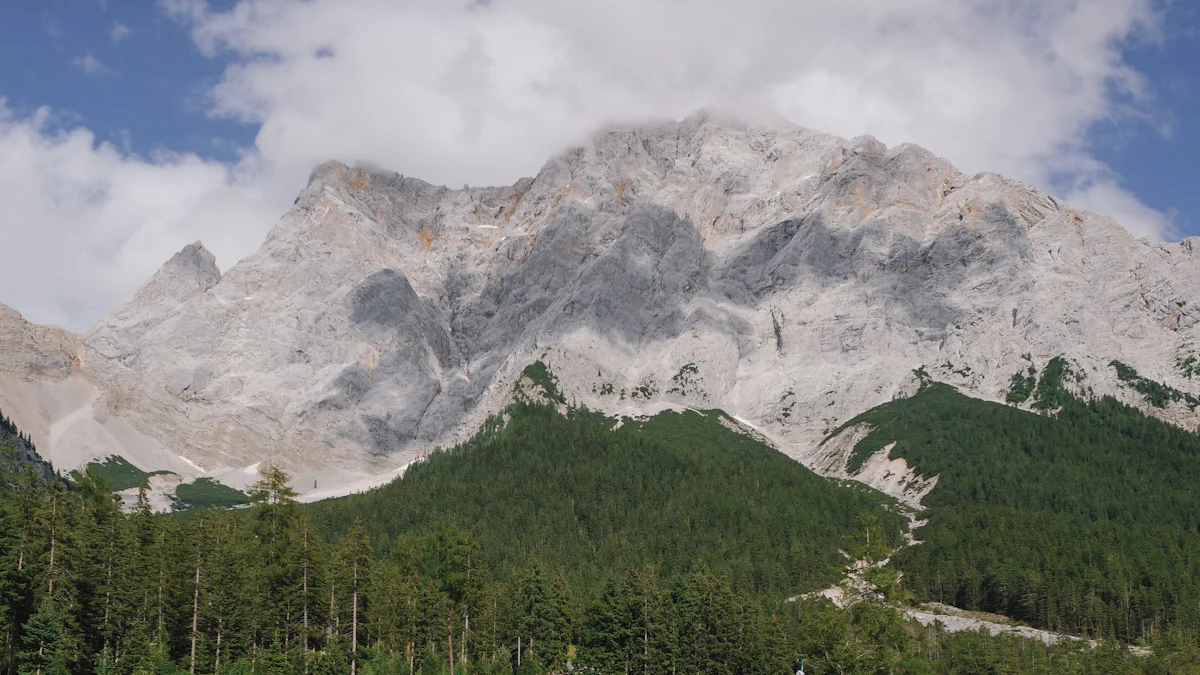Conexión con la naturaleza
