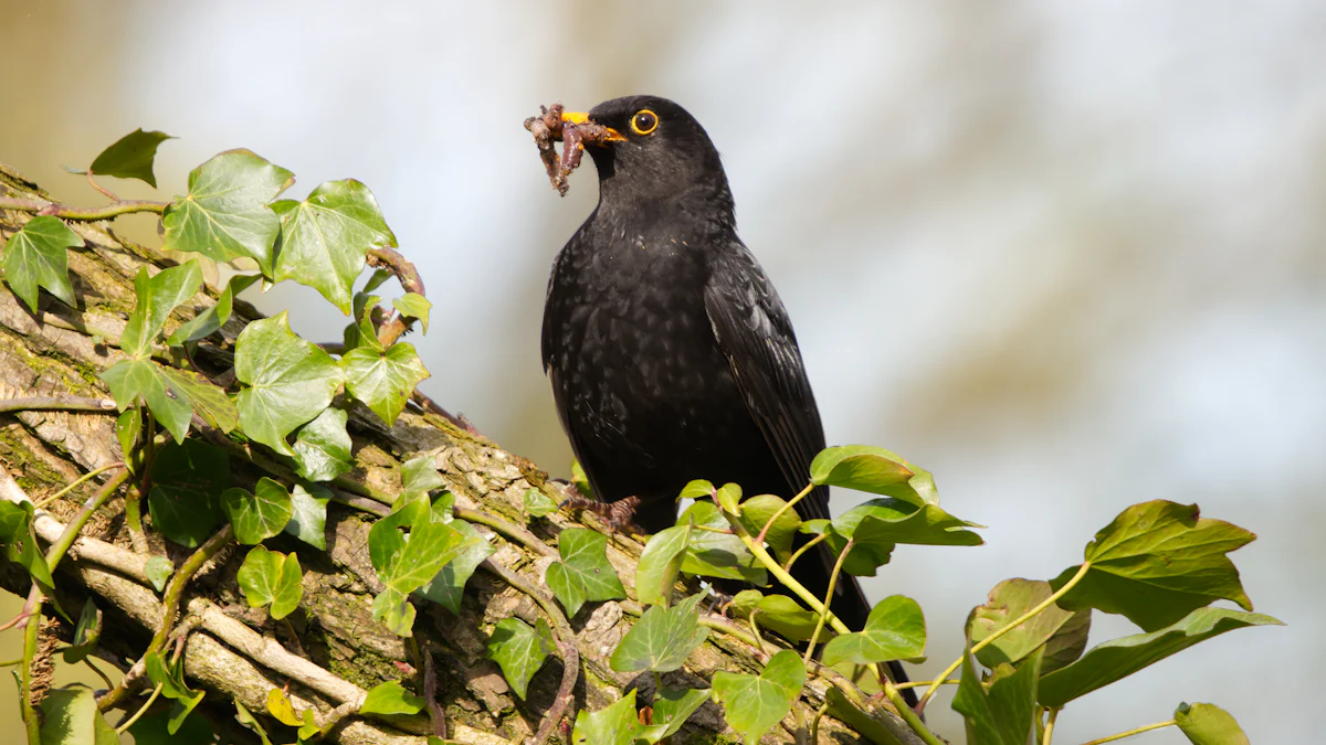 Dried Calci Worms For Birds: Are They Worth It?