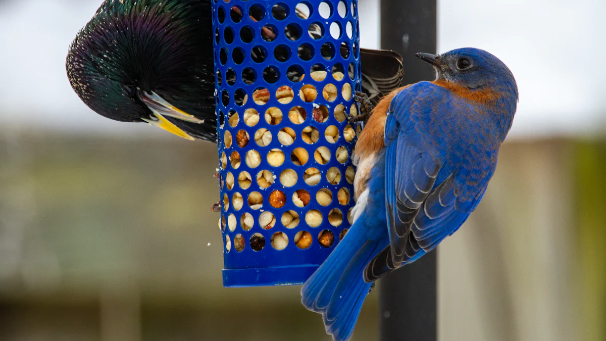 How to Offer Dried Mealworms in Your Yard