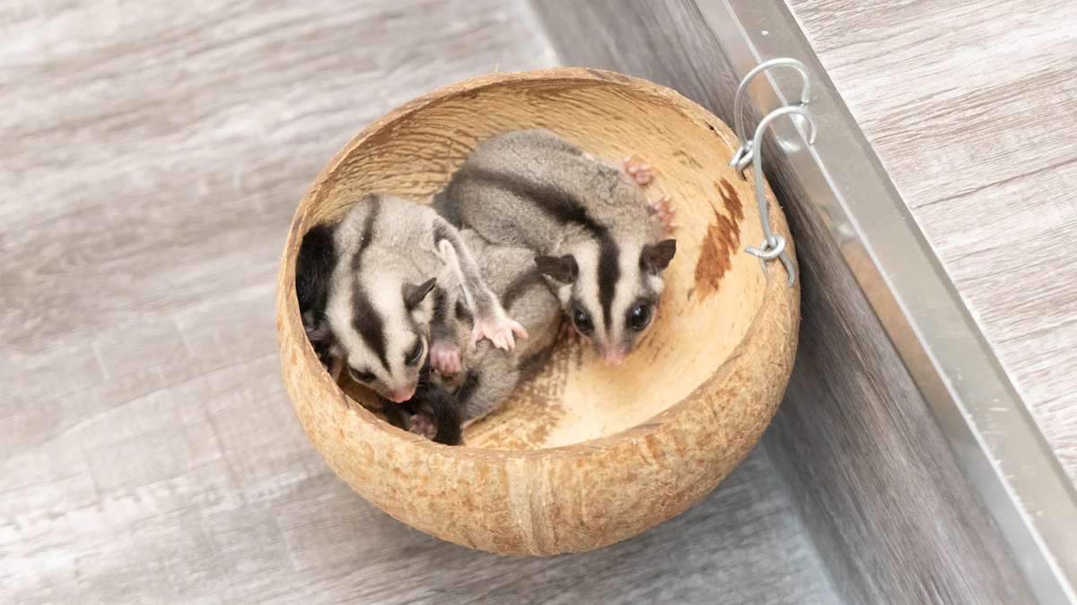 Types of Worms Sugar Gliders Can Eat