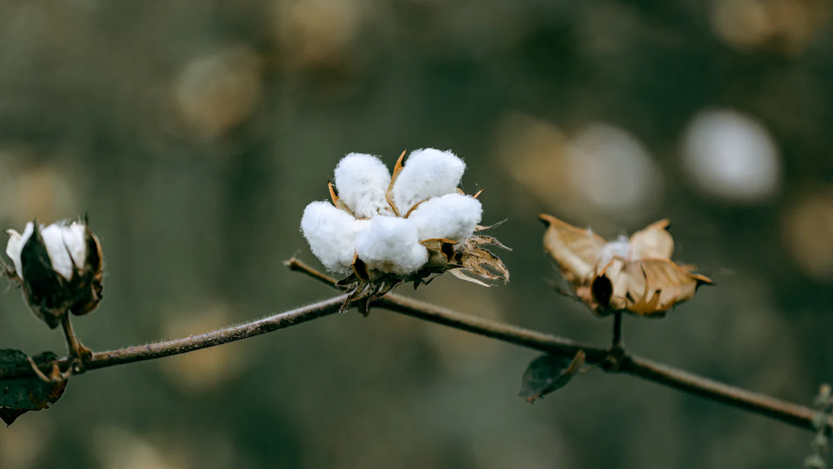 Scopri 7 Marchi di Abbigliamento Yoga in Cotone Naturale