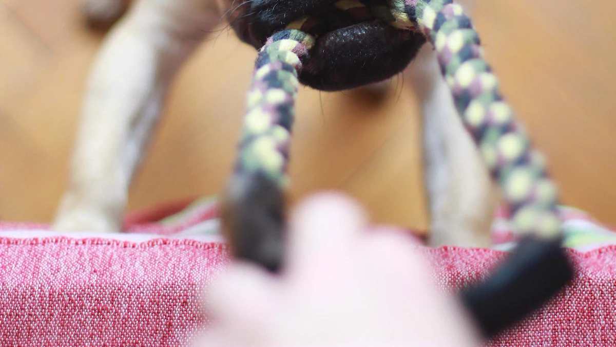 What to Do If Your Dog Eats a Rope Toy