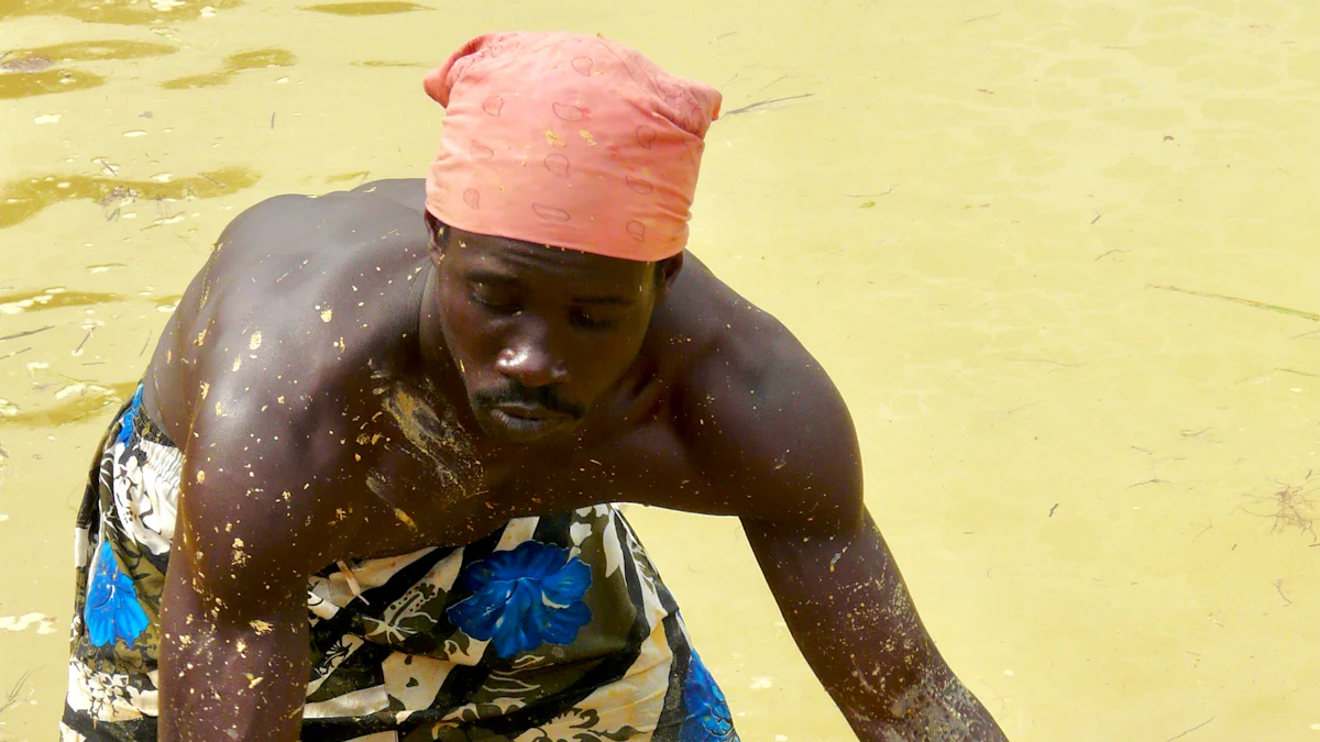 Environmental and Social Impact