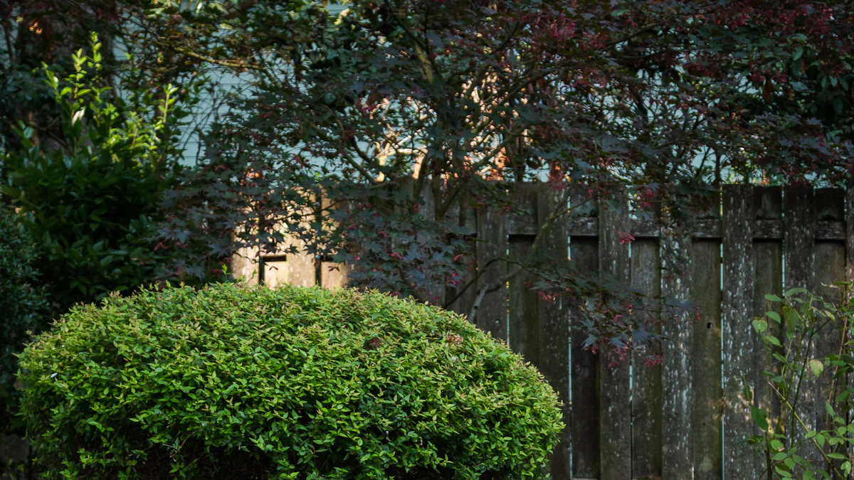 Summary of Relaxation Benefits