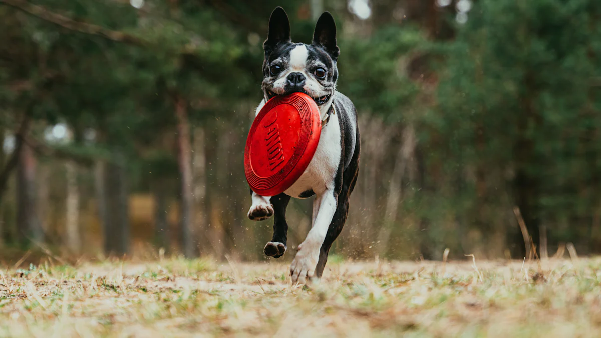 Pamper Your Pooch: Dolanan Cilik Asu sing Apik Sampeyan Ora Bisa Kantun