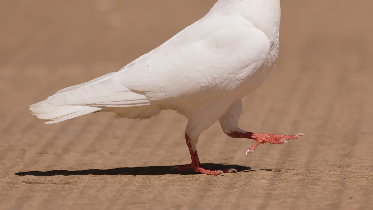 Preventing Bird Flu: A Comprehensive Guide