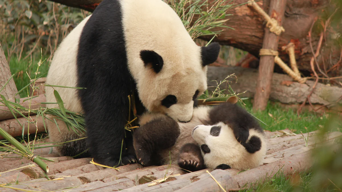 Top Panda Slippers You’ll Love in 2025