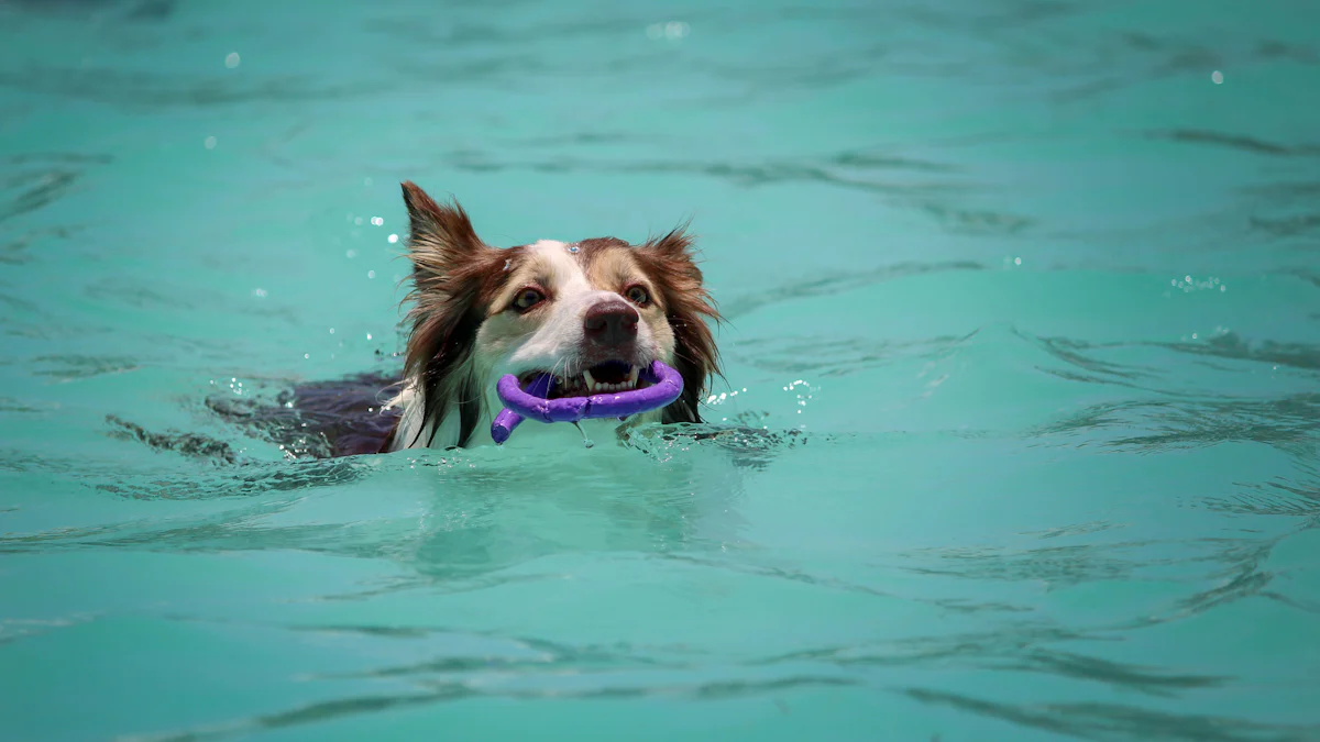 Harika Yaz Köpek Oyuncakları