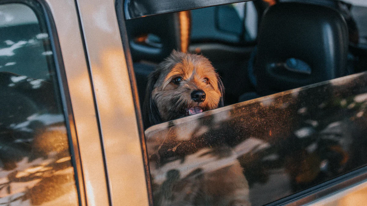 Cómo eliminar el pelo de las mascotas del coche como un profesional