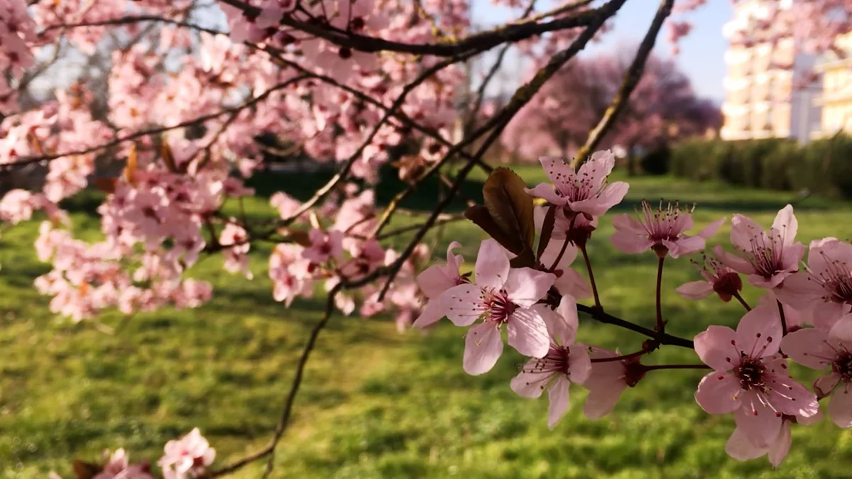 Die 30-Minuten-Yin Yoga Sequenz