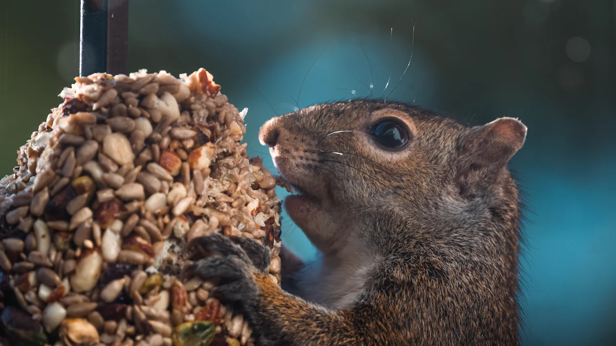 Are Dried Mealworms Healthy for Squirrels?