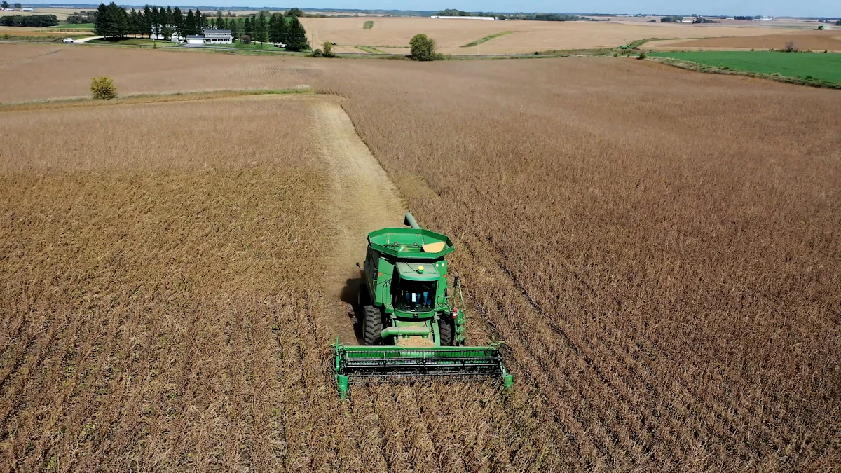 Pul jinsiy aloqa uchun yashirin kamera firibgarligi Osiyo porno shantaj