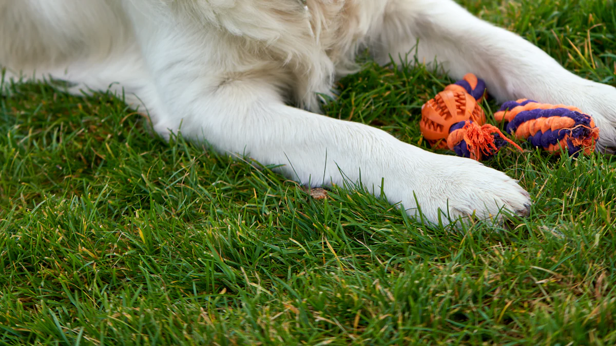 Top 5 Outdoor Chew Toys for Dogs