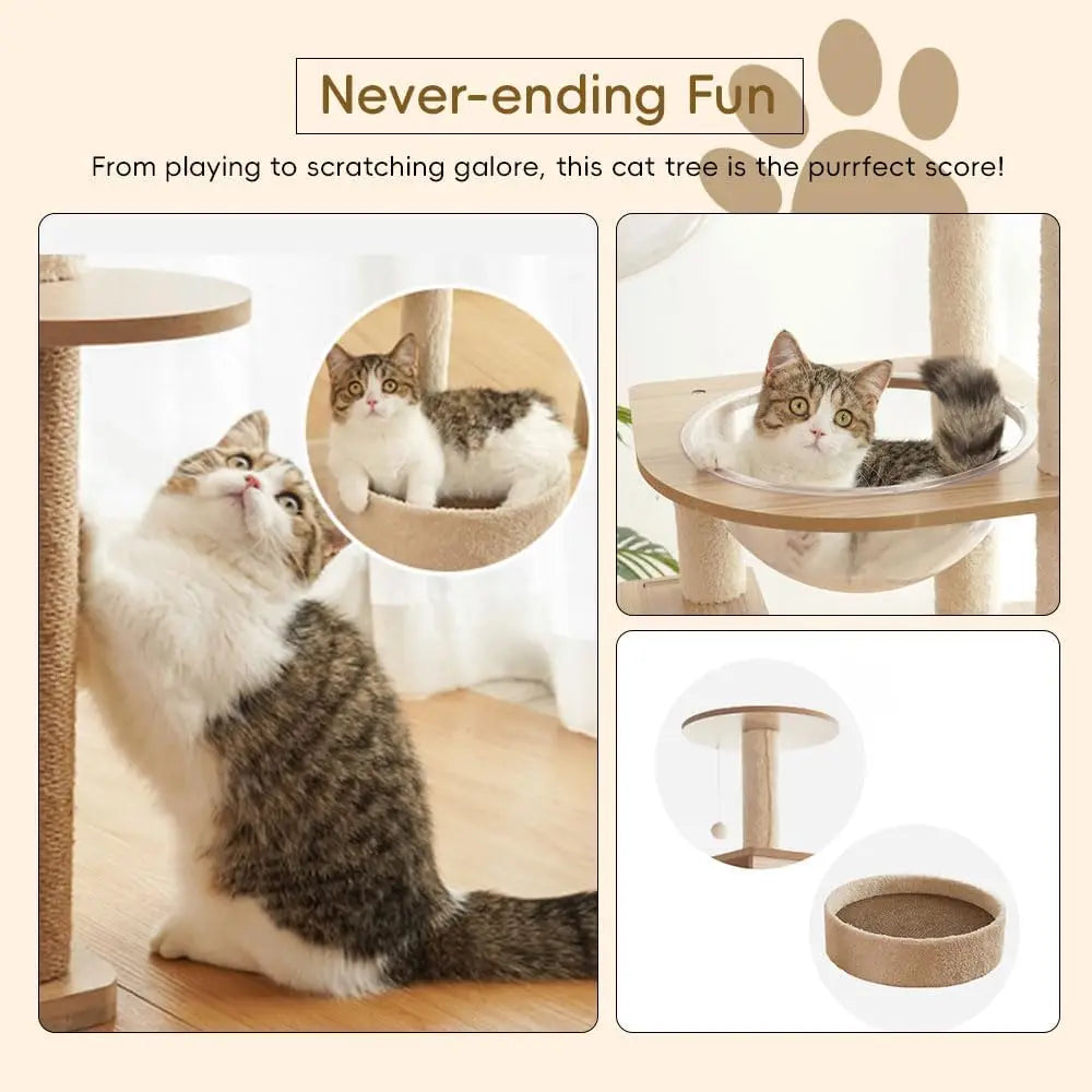 Tips for Encouraging Cats to Use the Cat Tree