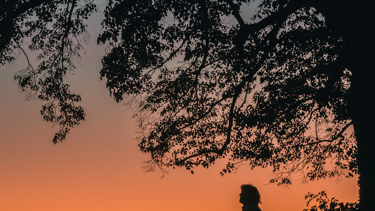 Waarom is de juiste muziek belangrijk voor meditatie?