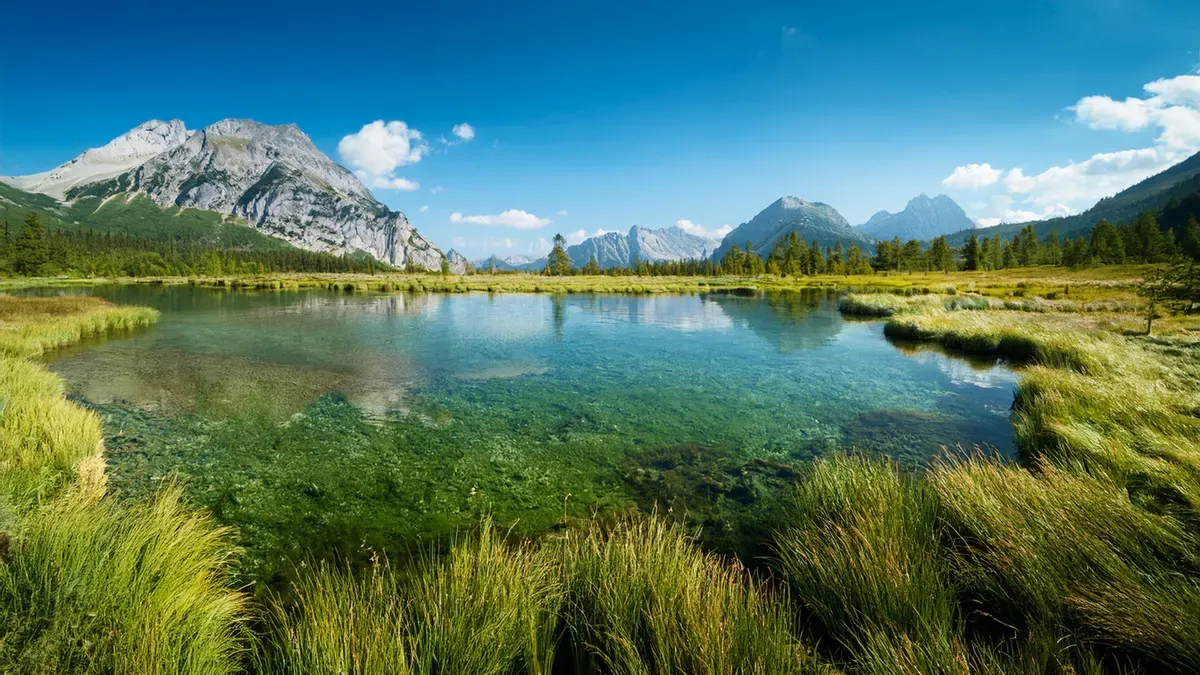 Key Features of OneLake