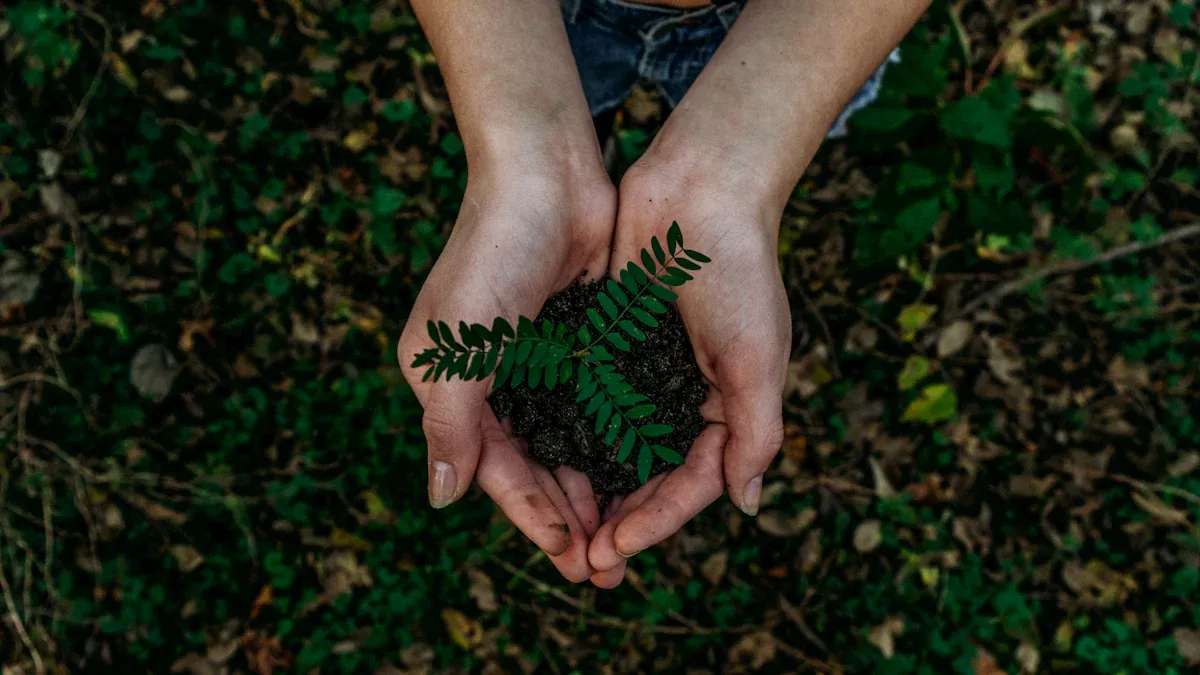 Creating Efficiencies with Sustainability