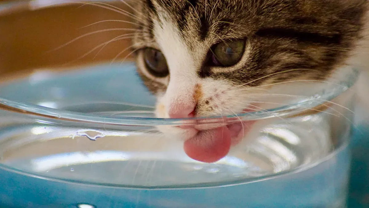 Hydration & Care Tips