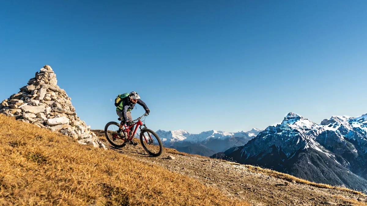 Was ist ein Hardtail?