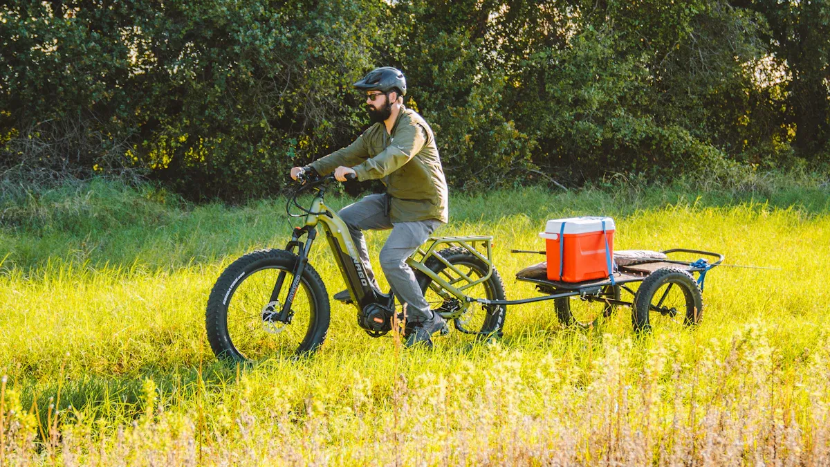 Fahrradanhänger kupplung e-bike: Kompatibilitätsleitfaden und Installationstipps