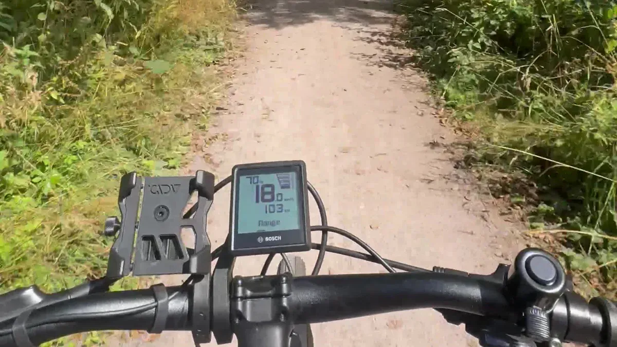 Cube E-Bike Technologie