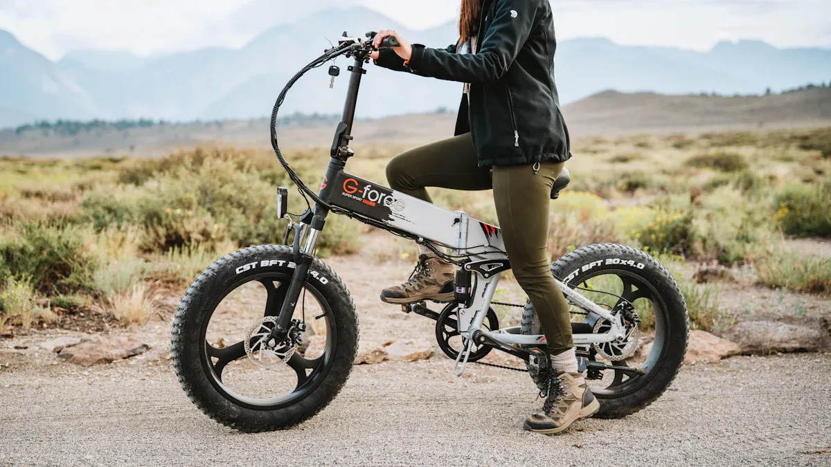 Tools zur Berechnung der Reichweite eines E-Bikes
