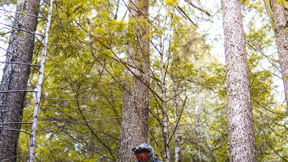 Trails im beerfelden bikepark