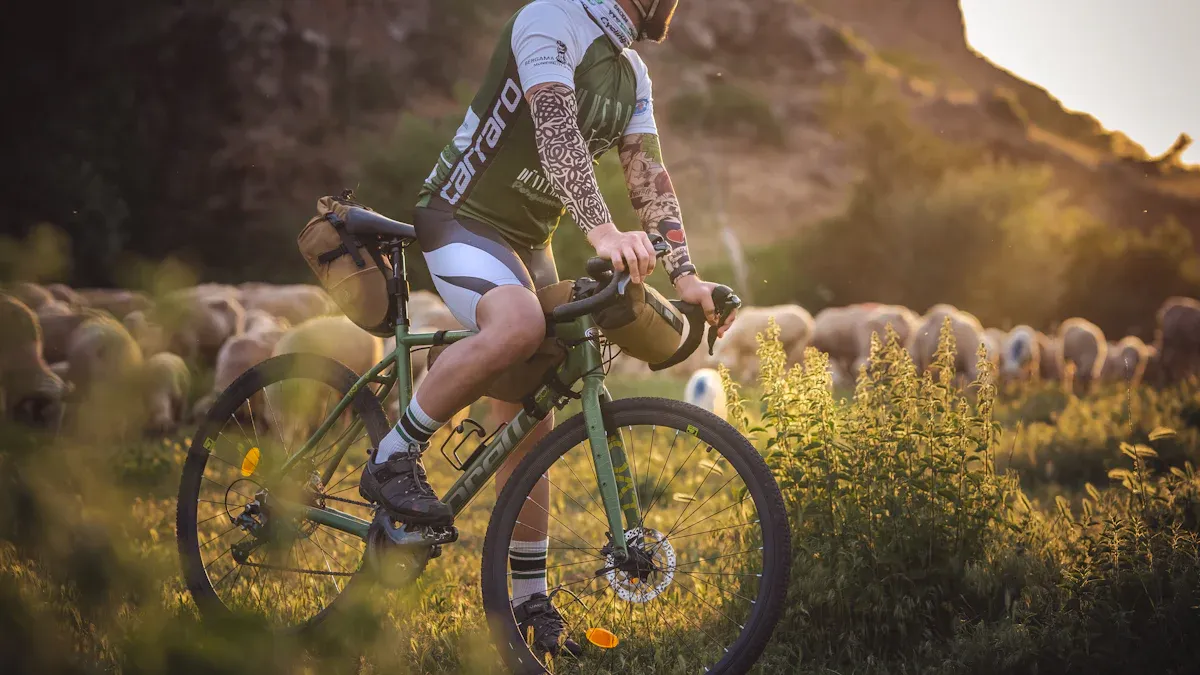 Focus Gravel Bike Überblick