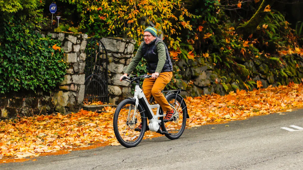Die Produktpalette von Müller Riese E-Bikes