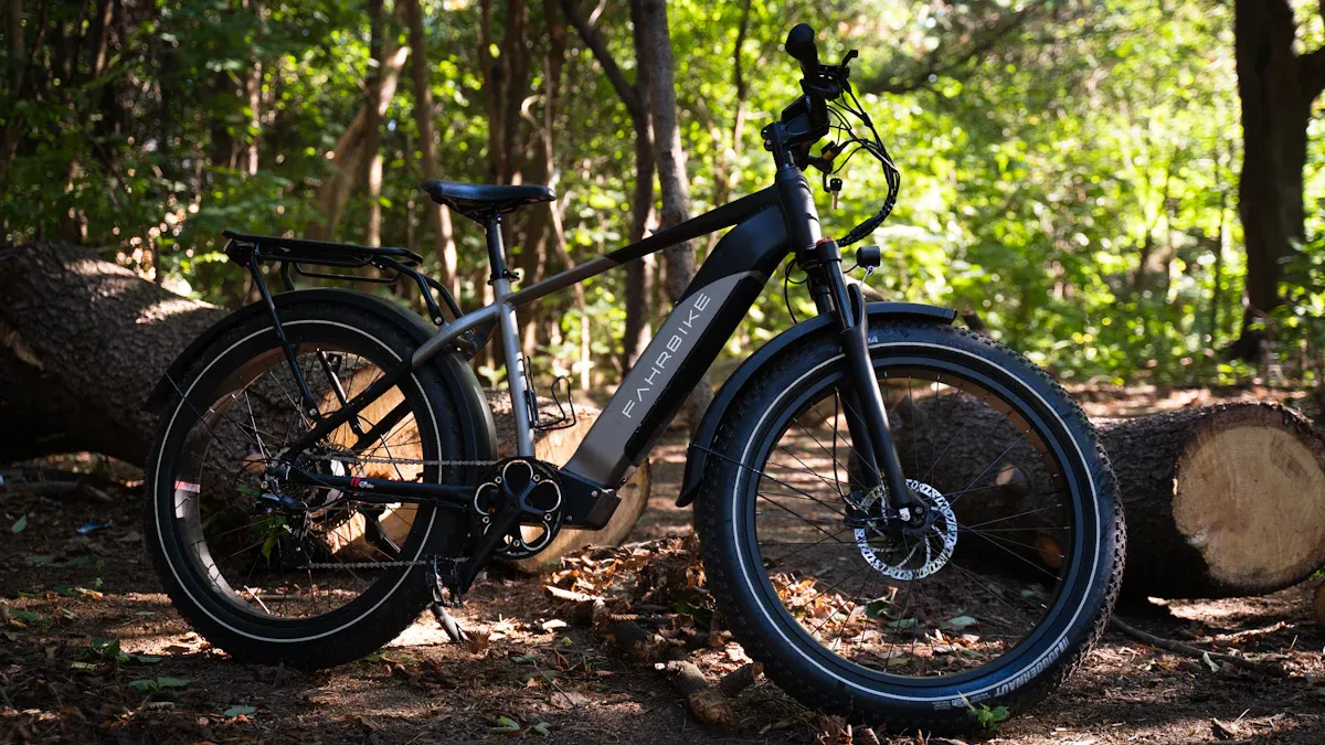 Was sind Fat Tire E-Bikes?