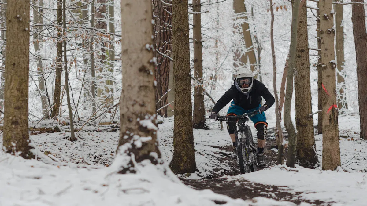E Fatbike im Gelände