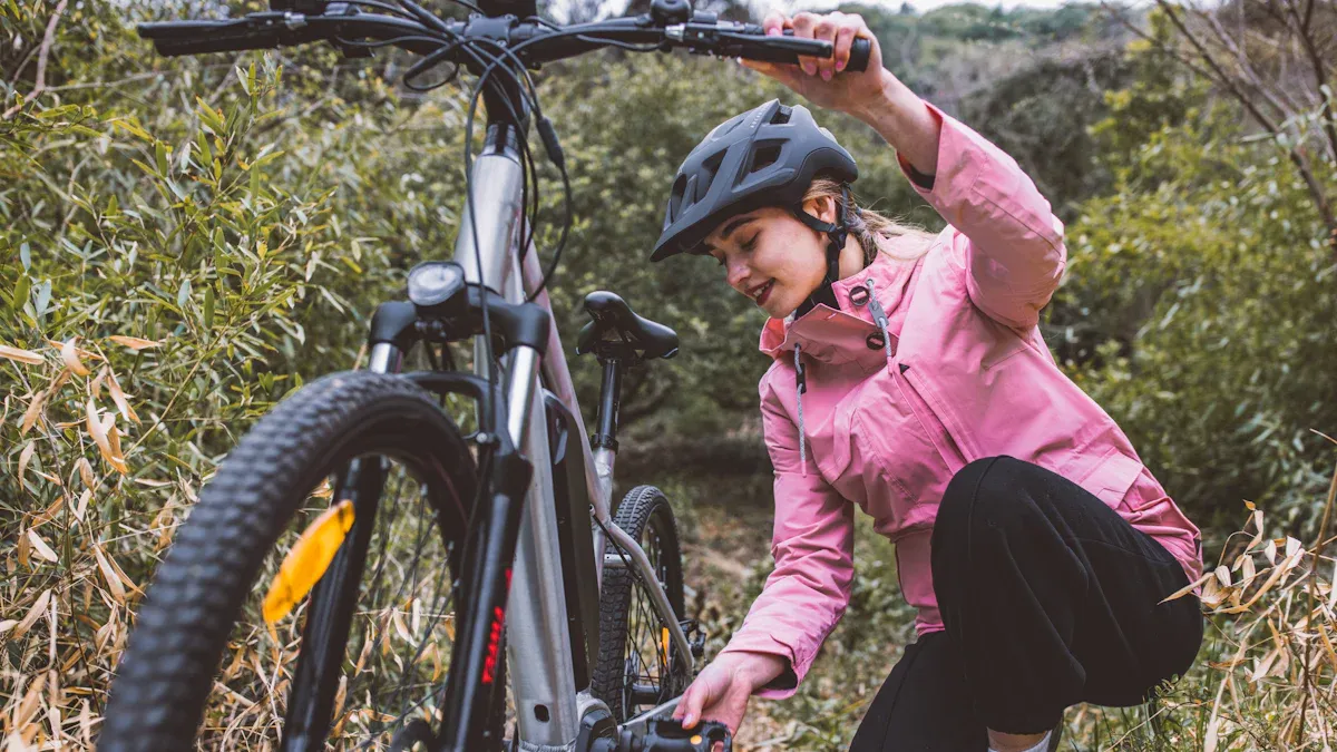 Reinigung mountain e bike