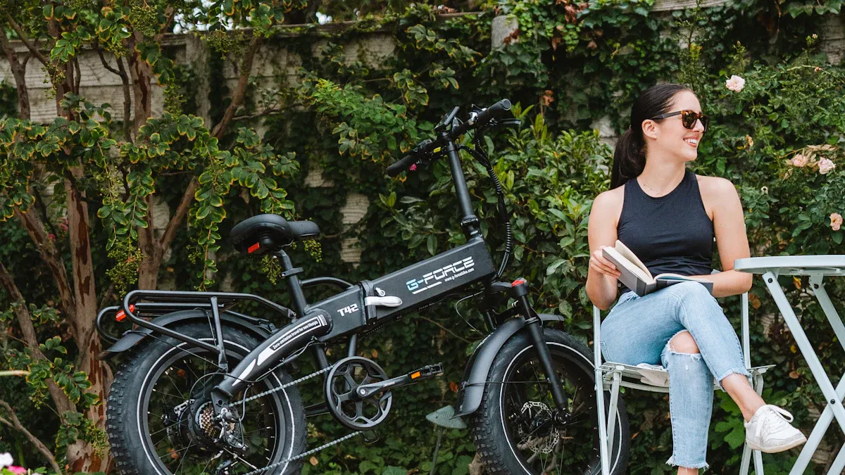 Faltrad e bike im Überblick