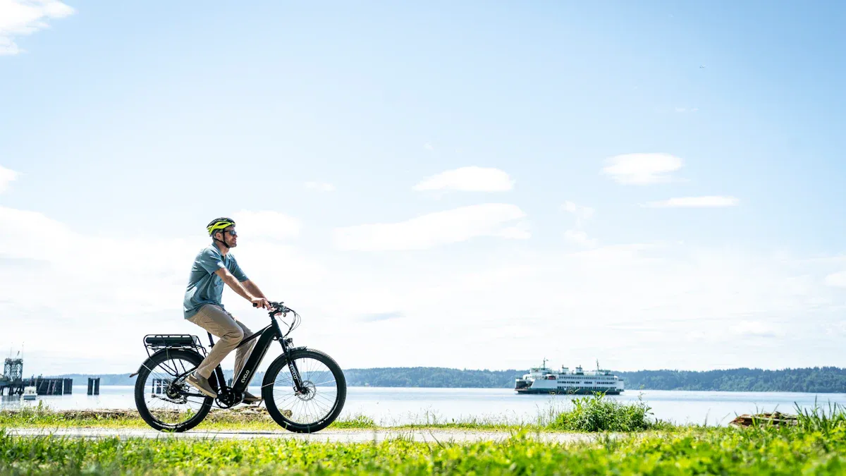 Verschiedene Typen von Herren E-Bikes