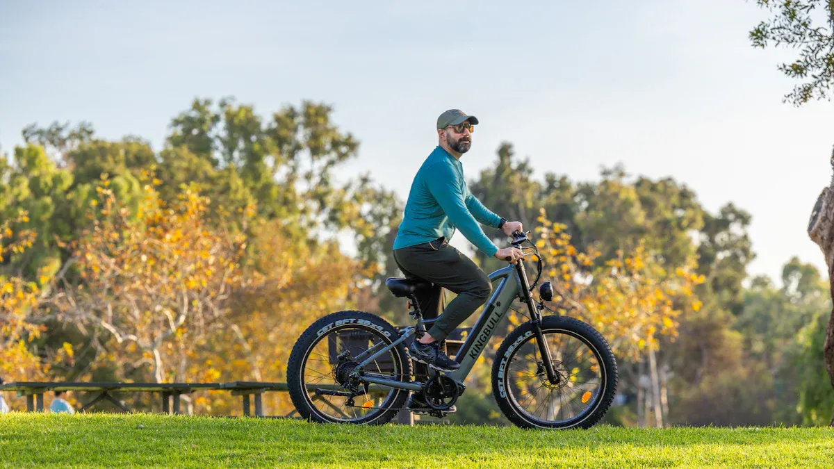 Preis-Leistungs-Analyse der besten E-Bikes
