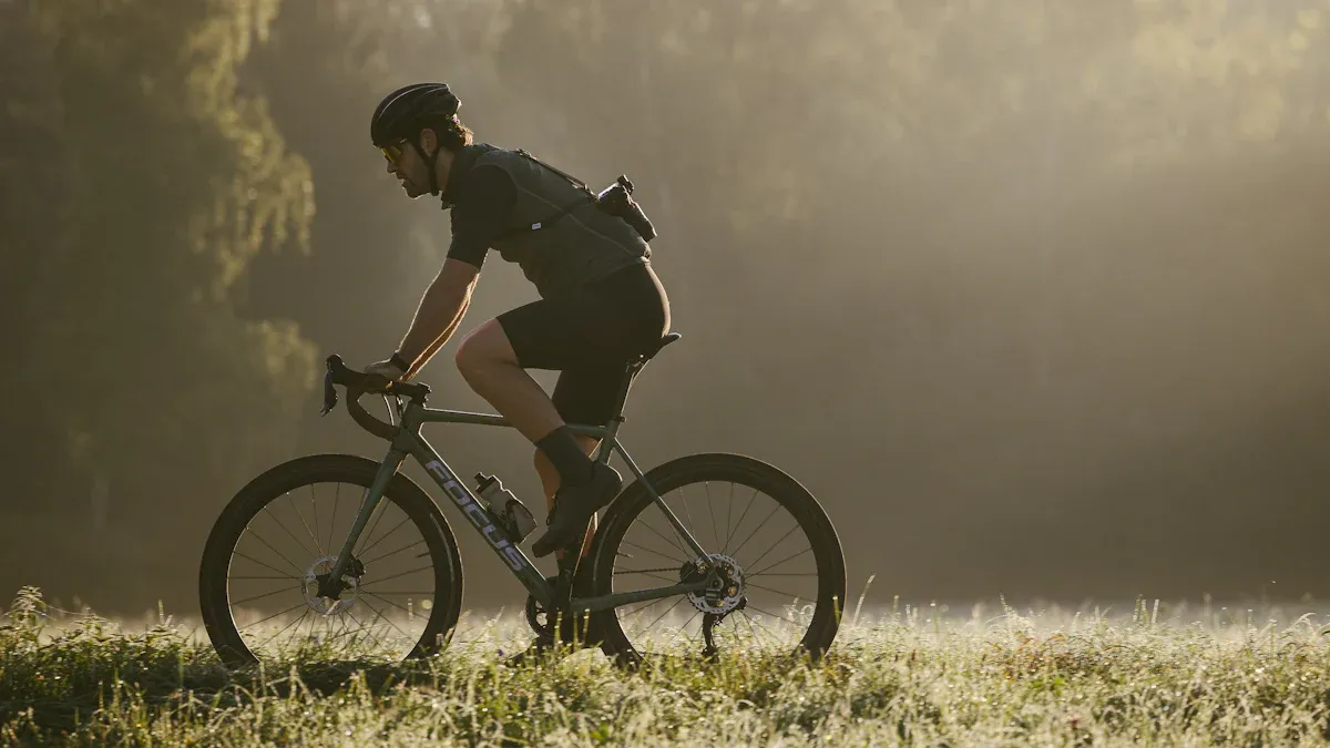 E Bike Trekking Überblick