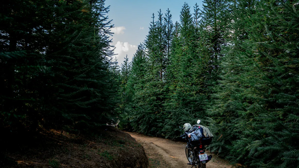 Mountainbikes für herren: Leistung, Haltbarkeit und Preis-Leistungs-Verhältnis 2025