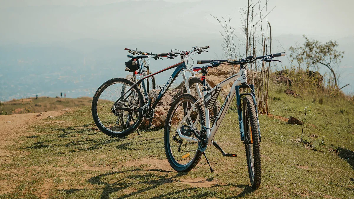 Mountainbike-Typen