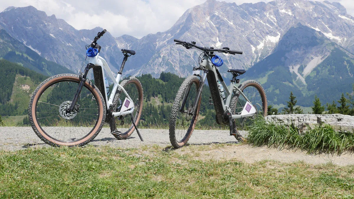 Lucky Bike Rosenheim'
                style=